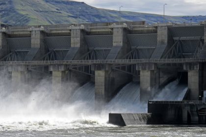 Conservationists, Tribes Say Deal With Biden Administration a Road Map to Breach Snake River Dams