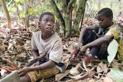 Human Rights Group Sues to Protect African Child Laborers