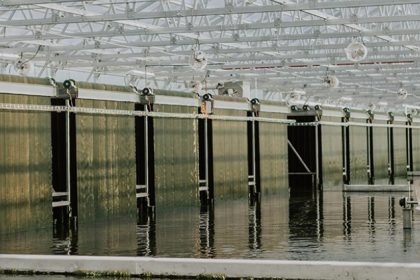 Firm With Iowa State U Roots Nets $2M for New Algae Project