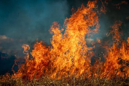 Senate Told Growing Wildfire Threat Needs New Strategies