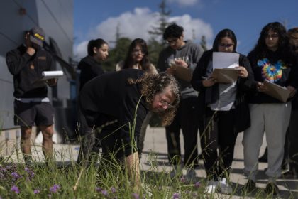 Community Colleges Offer Clean Energy Training as Climate-Related Jobs Expand Across America