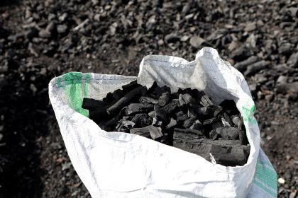 At International Energy Conference, Delegates Push to Make Clean Cooking Accessible to All