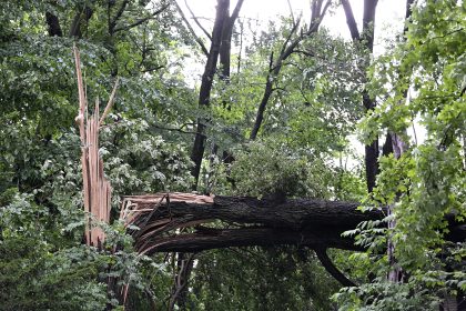 Tornado Hits Michigan Without Warning, Killing Toddler, While Twister in Maryland Injures Five