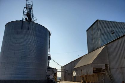 IRS Publishes Rules That Could Controversially Extend Tax Credit to Biomass
