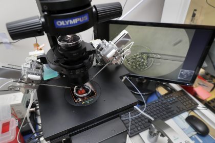 Majority of US Adults Support Protecting Access to IVF, AP-NORC Poll Finds