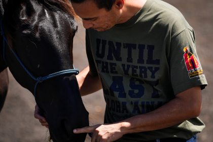 How Horses at Spirit Horse Ranch Help Maui Wildfire Survivors Process Their Grief