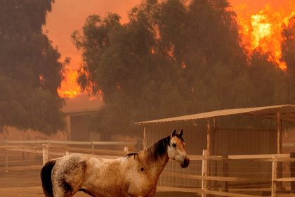 Southern California Wildfire Destroys 132 Structures as Officials Look For Fierce Winds to Subside