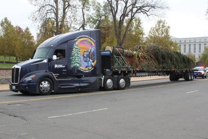 Capitol Christmas Tree Arrives, Marking Start of Holiday Season
