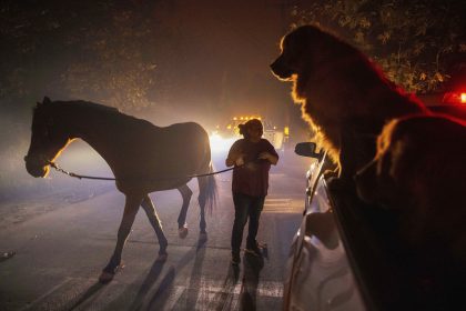 A Malibu Wildfire Prompts Evacuation Orders and Warnings for 20,000, Including Dick Van Dyke, Cher