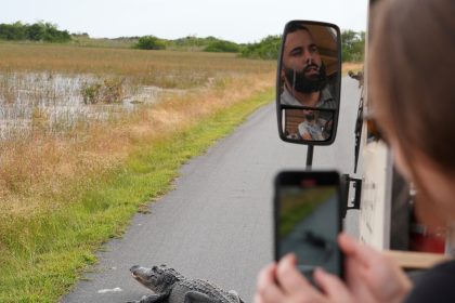 In Florida, a Race Is On to Save the Everglades and Protect a Key Source of Drinking Water