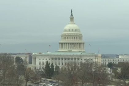 Capitol Police Arrest Man With Machete at Visitor Center Doors