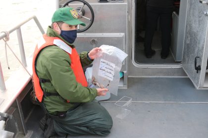 Where Is California’s Water? The Delta Smelt Is Hogging It