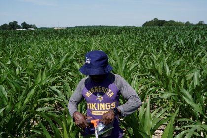 Scientists Shielding Farming From Climate Change Need More Public Funding. But They’re Getting Less