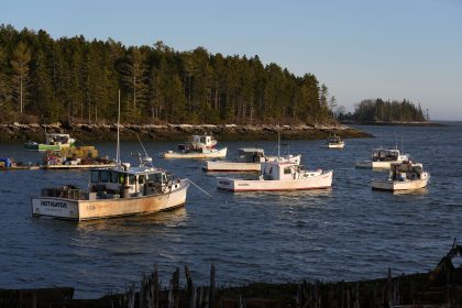 Fishermen Want to Go Green, Say DOGE Cuts Prevent That
