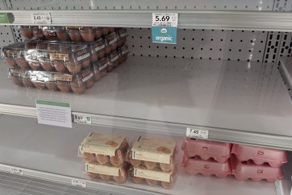 US to Import ‘Hundreds of Millions’ of Eggs to Address Shortages