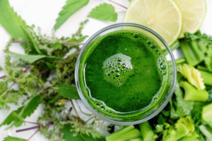 New Review: Chlorella Algae as a Challenging Superfood