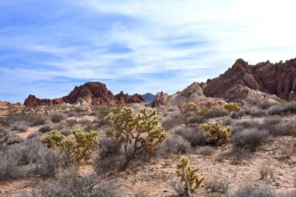 Deadline Extended for $25M Tribal Energy Funding Opportunity