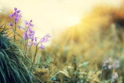 Welcoming Spring: Your 2025 Health Guide