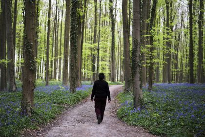 Bluebells and Other Spring Flowers Can Be Nature’s Antidote to Stressful Times