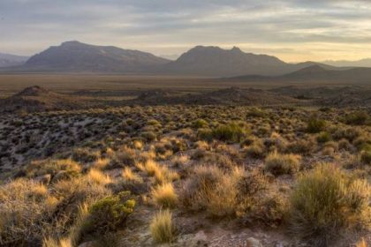 Bill Would Allow Renewables to Share Public Land Leased for Fossil Fuels
