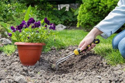 Happy Earth Day: Gardening and Health