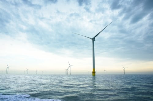 Offshore Wind Energy Examined for Major Renewable Energy Projects