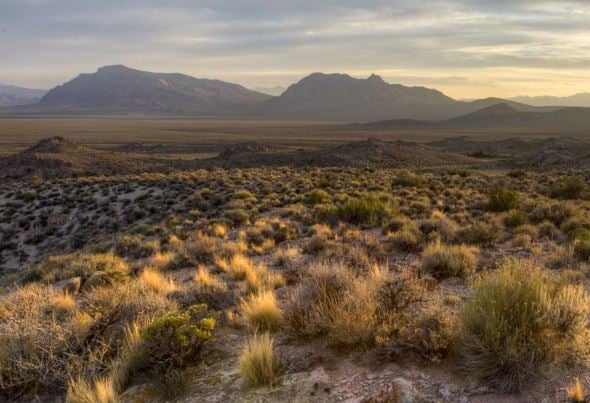 Bill Would Allow Renewables to Share Public Land Leased for Fossil Fuels