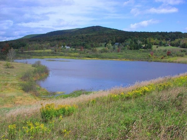 USDA Expands DamWatch Web App to Forest Service Dams
