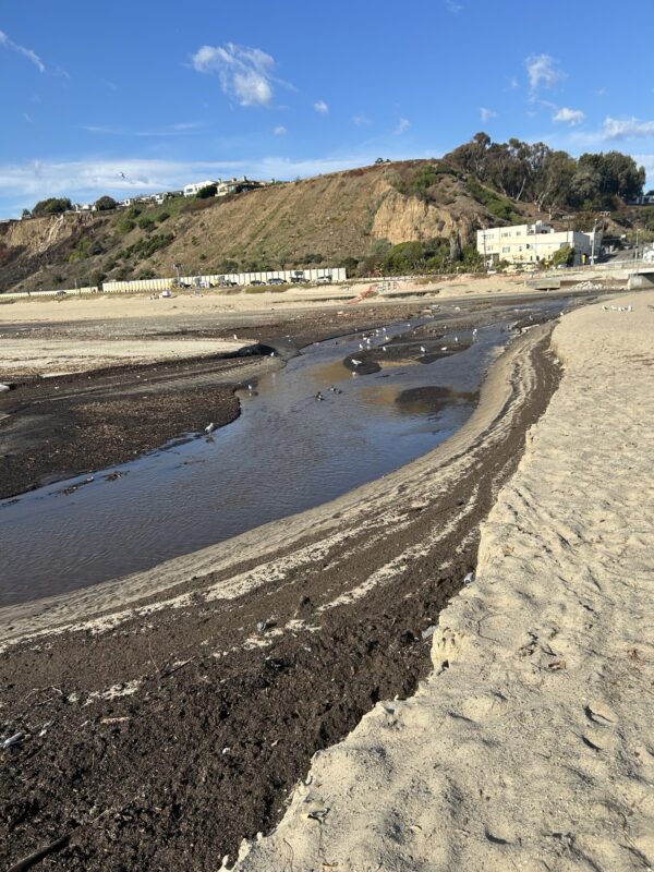 Officials Say Sediment on Calif. Beaches Poses No Risk to Human Health