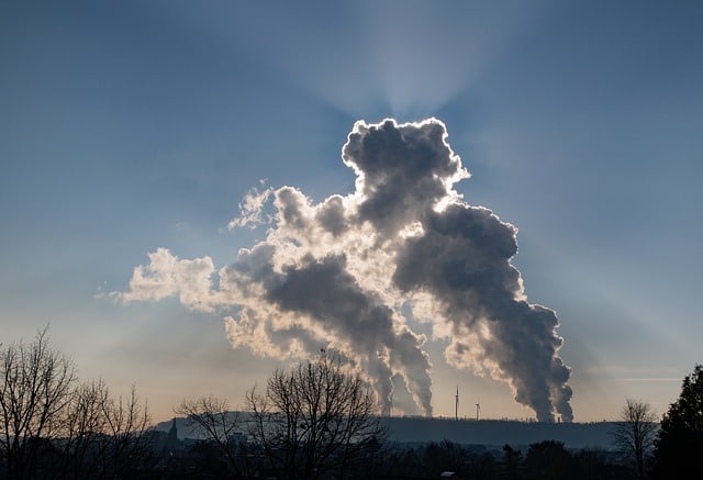 Economists Differ on the Social Cost of Carbon