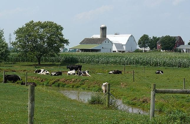 US Advances First USMCA Dispute Panel Over Canadian Dairy Practices