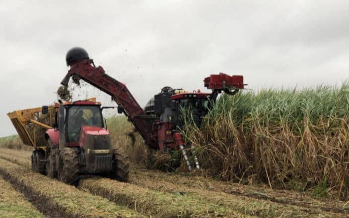 Biofuel Firm Proposes $70 Million Renewable Fuel Plant in Louisiana