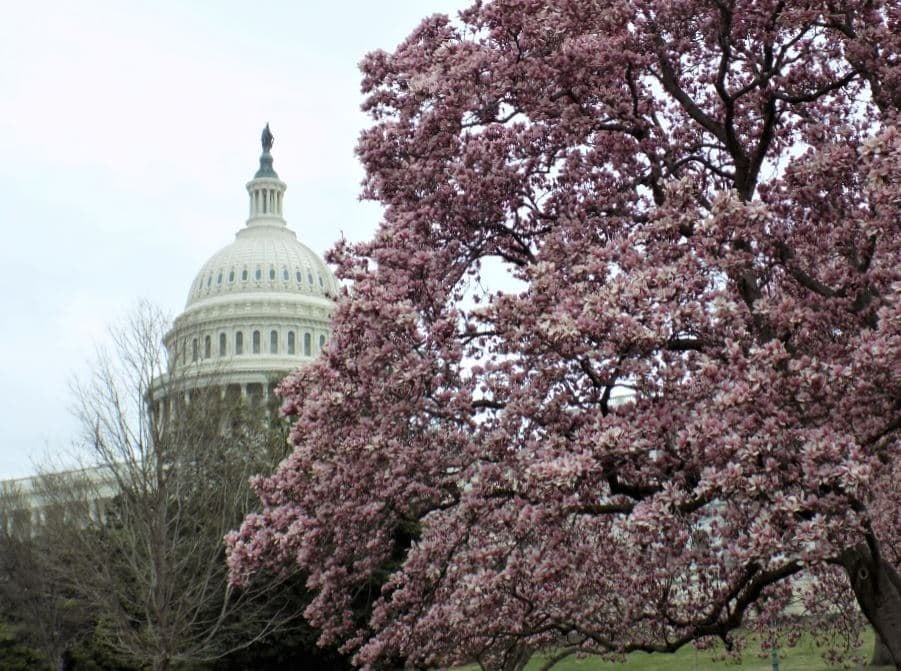 What’s Happening Tuesday On Capitol Hill