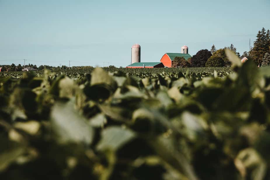 We Need to Stand With EPA Science on Crop Protection