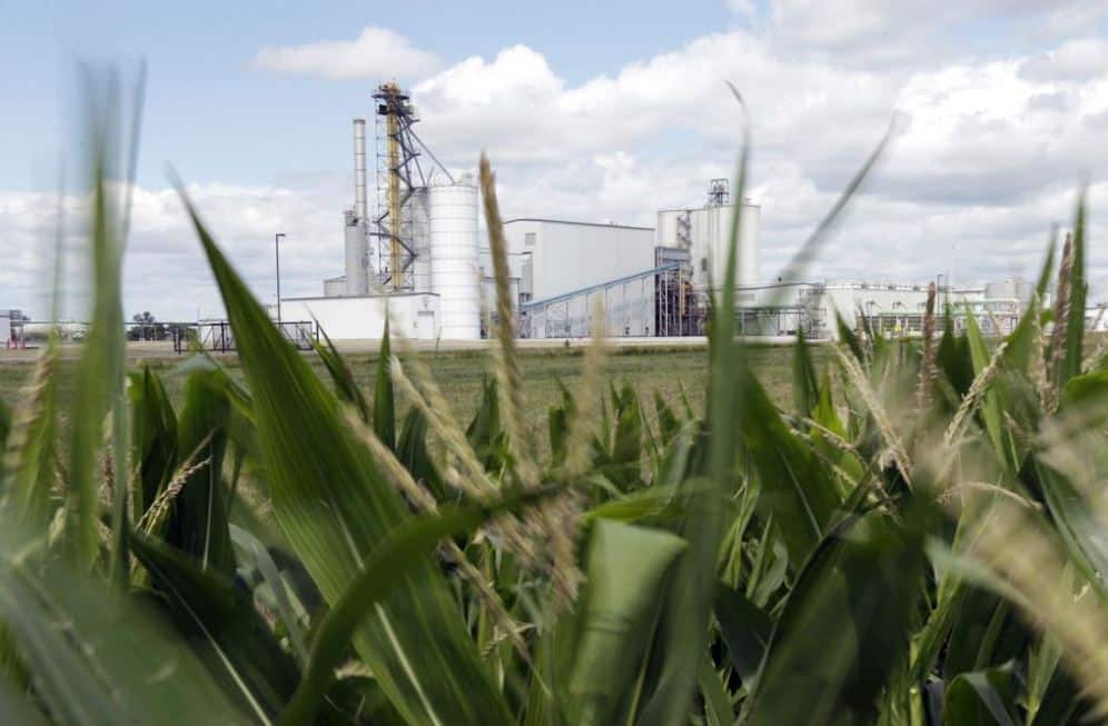 EPA Lifts High-Ethanol Gasoline Ban for Summer