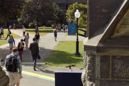 Discrimination Lurks in University Hiring Platforms 