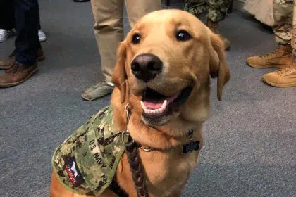 Sit, Heal: Dog Teaches Military Medical Students the Merits of Service Animals