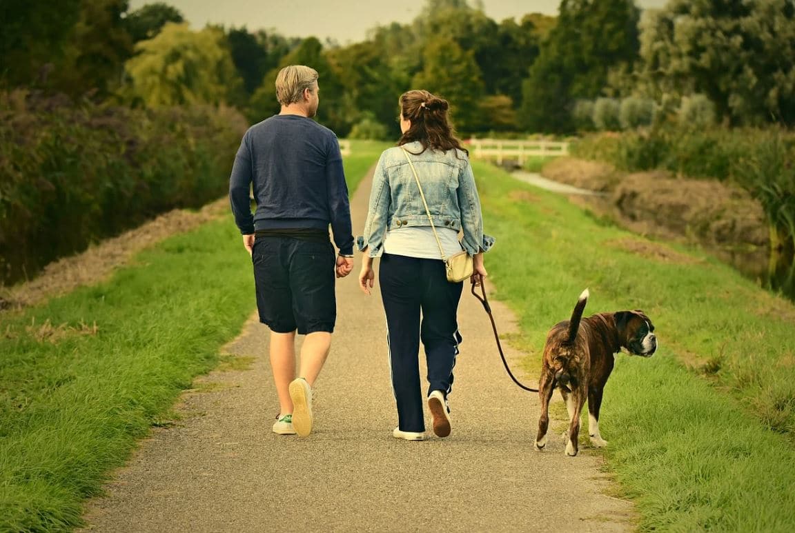 Survey Shows Healthiest States for Dogs