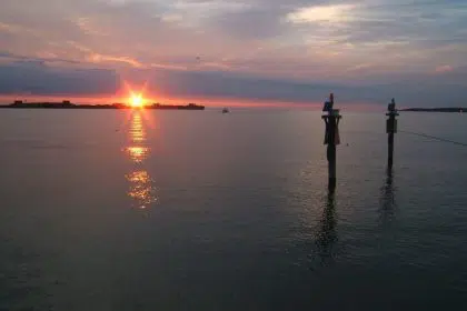 State Attorneys General Threaten to Sue EPA Over Chesapeake Bay Cleanup