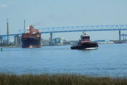 Maritime Industry Asks Congress for Bailout During Coronavirus