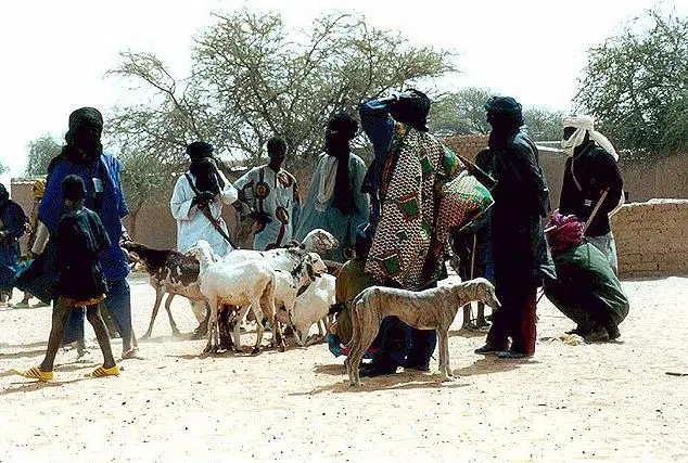 America Pledges $80 Million in Aid for Sahel Crisis