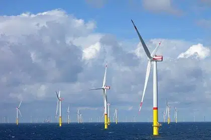White House Opens Pacific Coast to Commercial-Scale Wind Farm Development