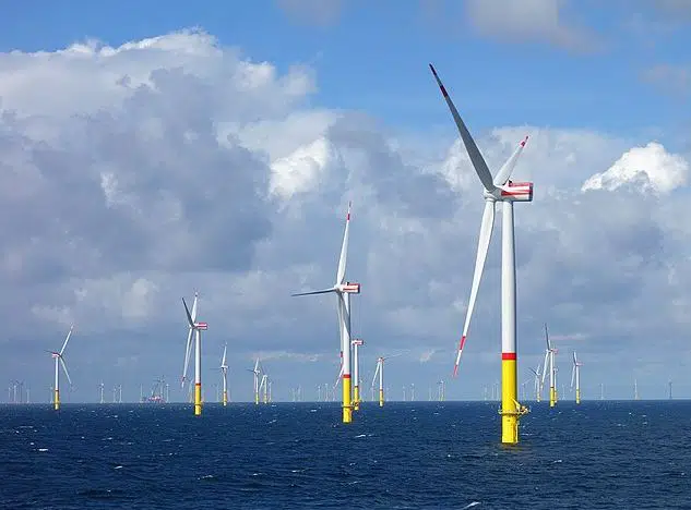 White House Opens Pacific Coast to Commercial-Scale Wind Farm Development