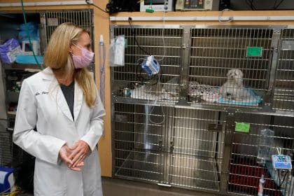 COVID-19 Pet Boom Has Veterinarians Backlogged, Burned Out