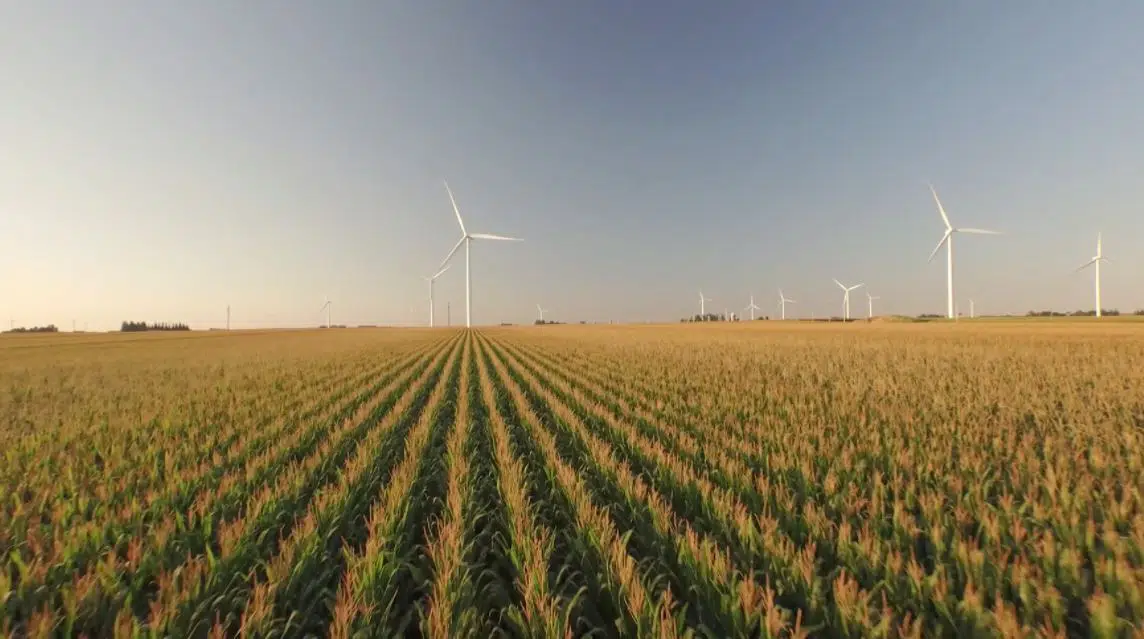 Facebook Releases Renewable Energy Impact Study