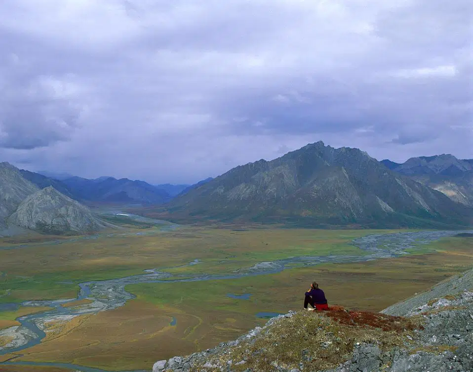 Interior Department Suspends Oil and Gas Leases in Arctic National Wildlife Refuge