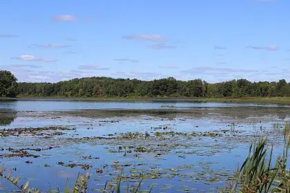 Michigan Awards Grants to Restore, Protect Water Quality