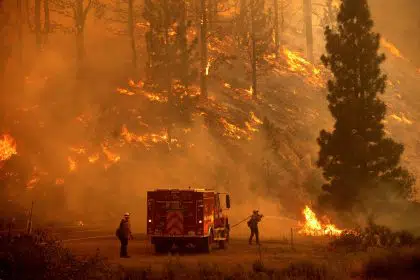 Governor Asks Californians to Voluntarily Cut Water Use