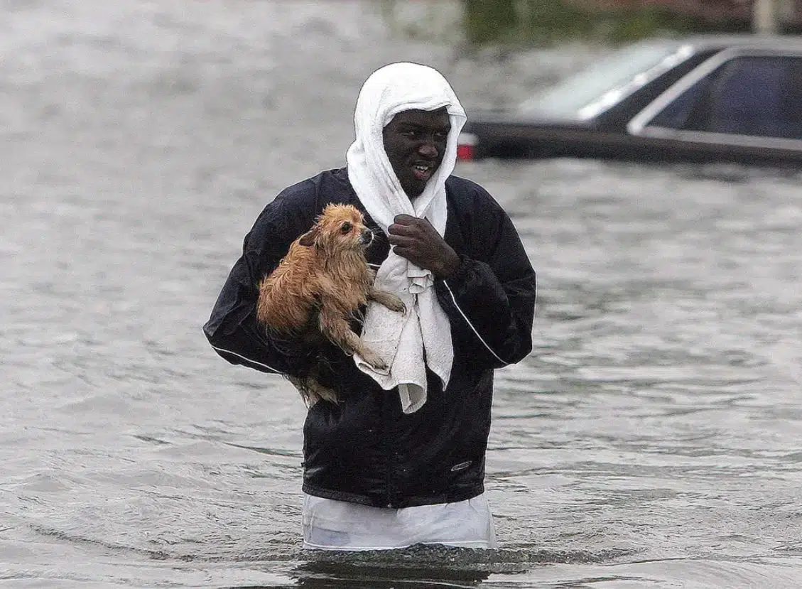 Preparing Animals for Natural Disasters