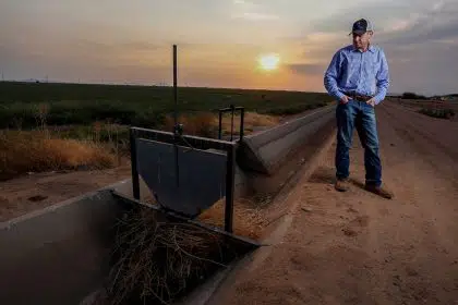 First Water Cuts in US West Supply to Hammer Arizona Farmers